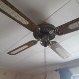 Palm fan light