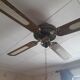 Palm fan light