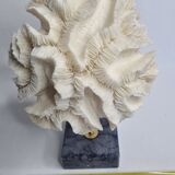 Old white coral "méandrine" on marble base, 25 cm
