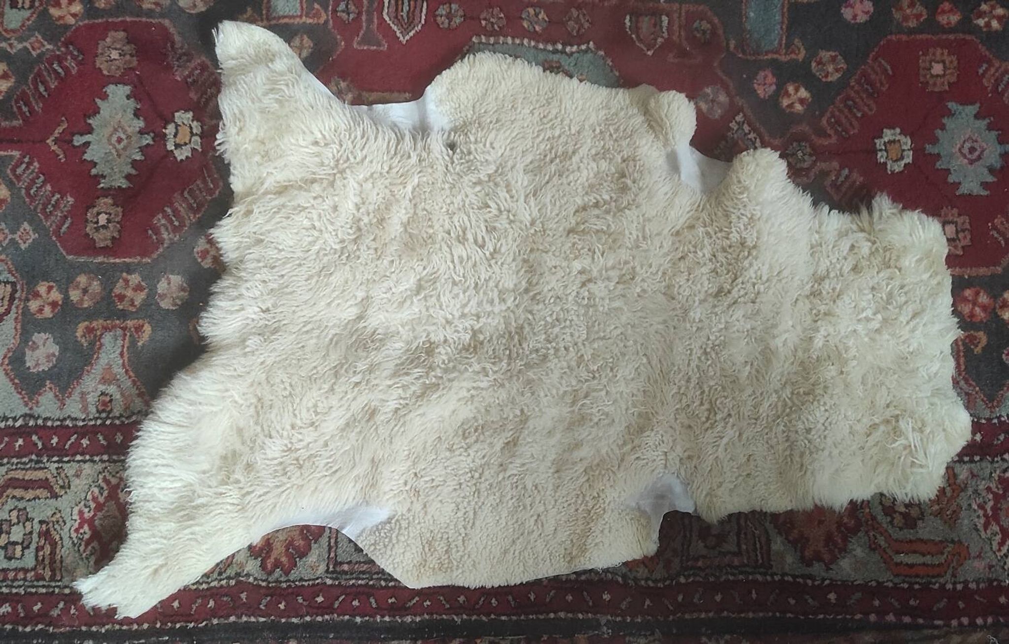 Peau de mouton