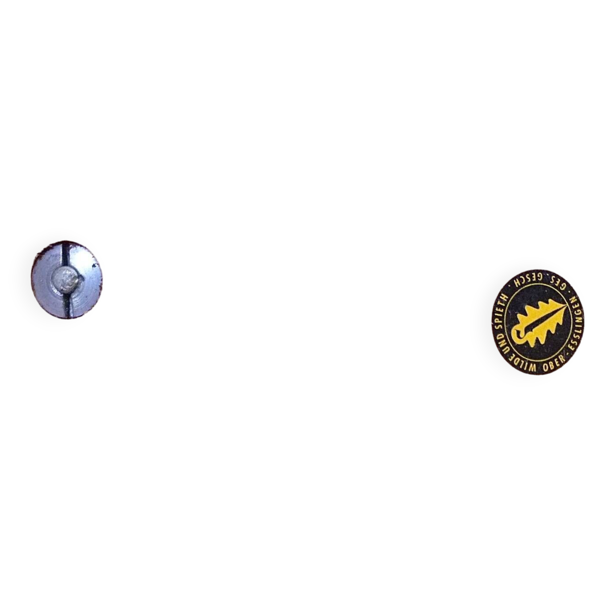 Model 'SE 42' Dining Chairs by Egon Eiermann for Wilde & Spieth, Germany 1949, Set of 4