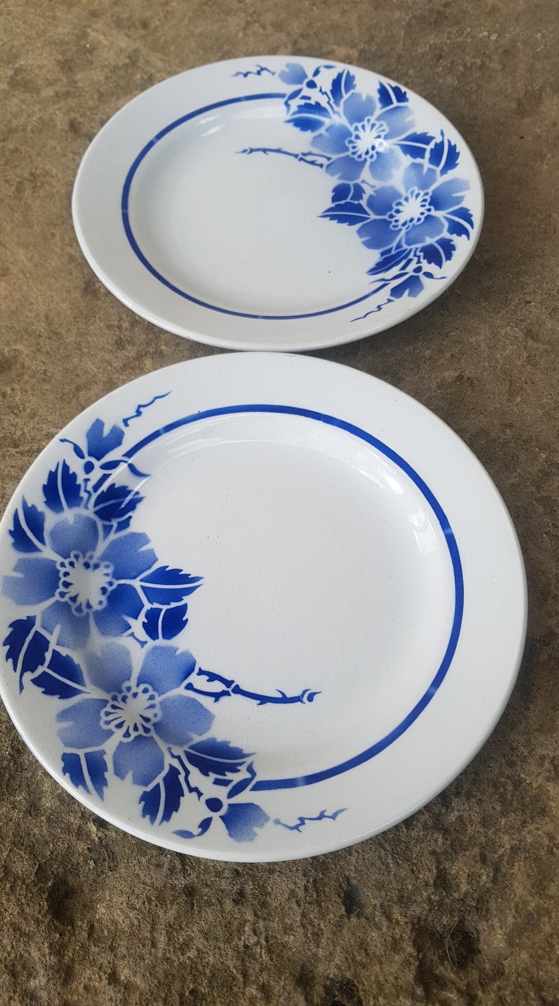Set of 2 plates Moulin des Loups model Eglantine