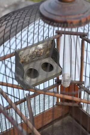 Old bird cage