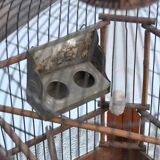 Old bird cage