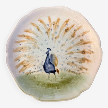 19th century plate Choisy Le Roi Majolica Peacock Decor