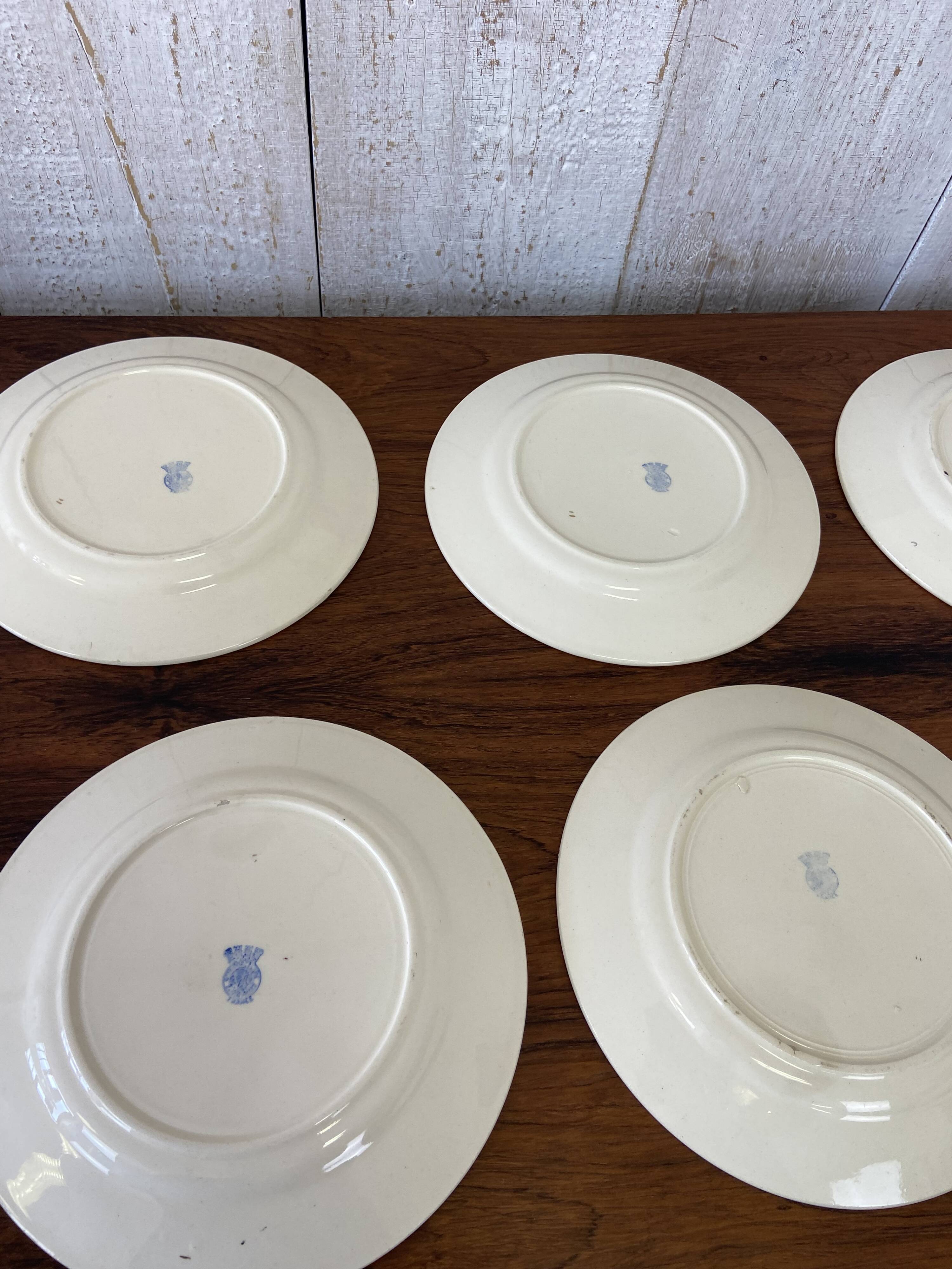 10 plates, 20cm diameter, "Rose" pattern
