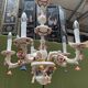 Capodimonte chandelier.