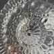 Pair of transparent round glass wall lights