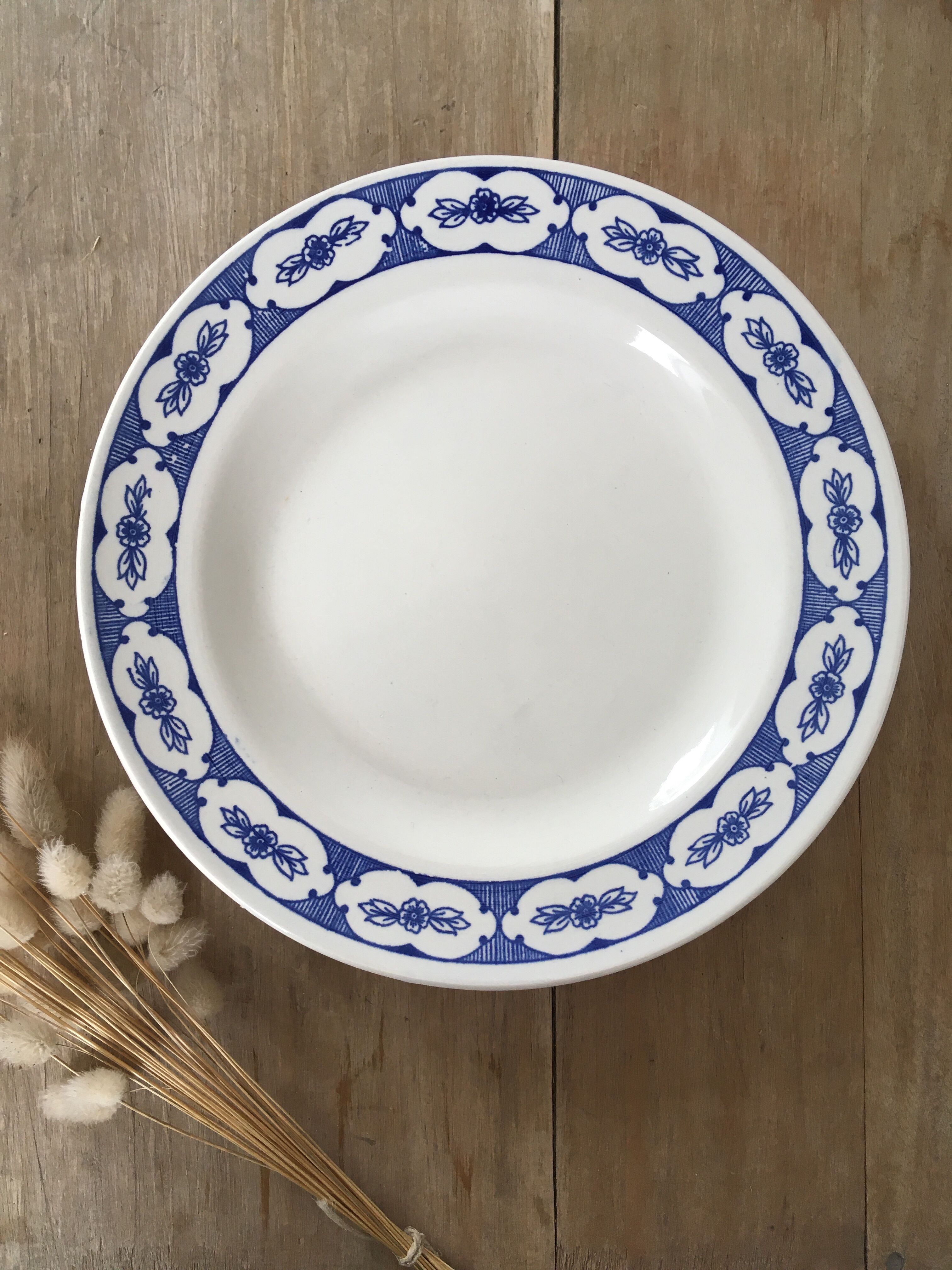 Blue & white mismatched flat plates