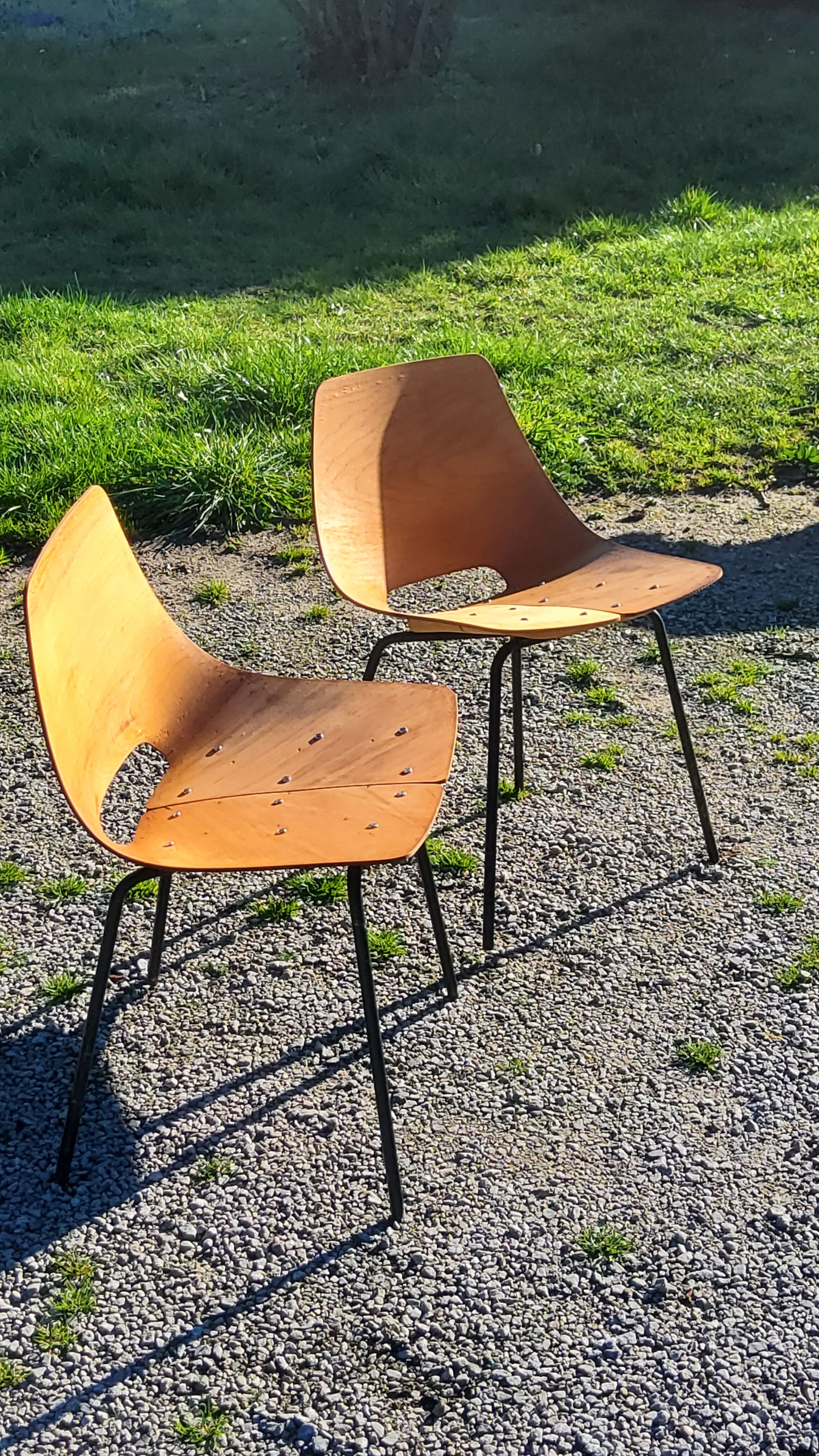 Pair of tonneau chairs by Pierre Guariche plywood base tubes 1954