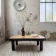 Table basse Capron « herbier » ovale
