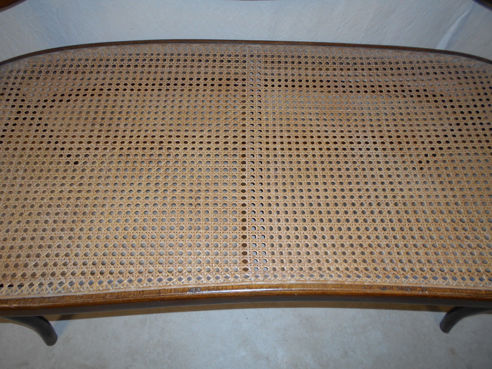 Fischel art nouveau bench in bentwood