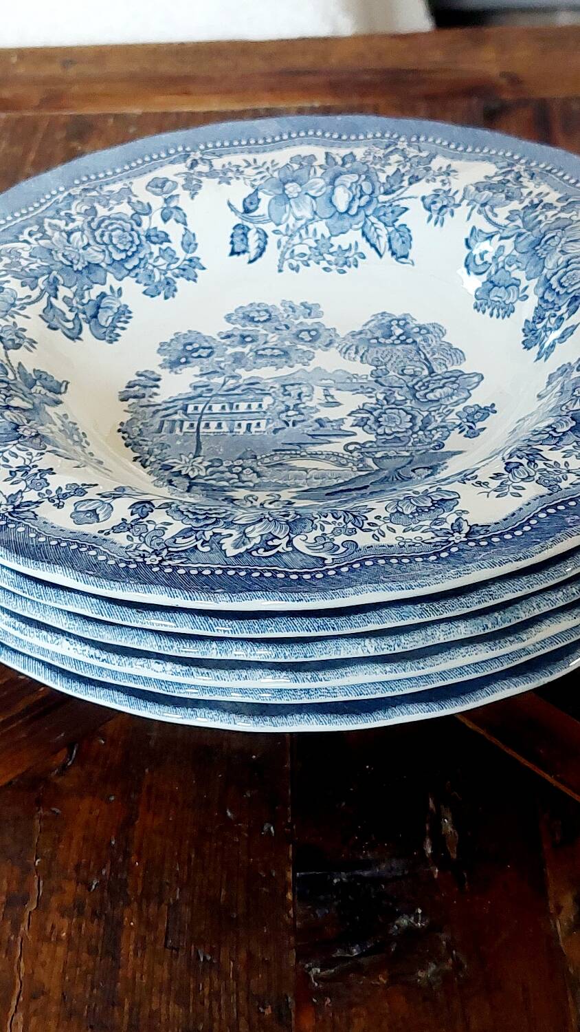 Tonquin Plate Set by Myott – 17 Piece Vintage Earthenware