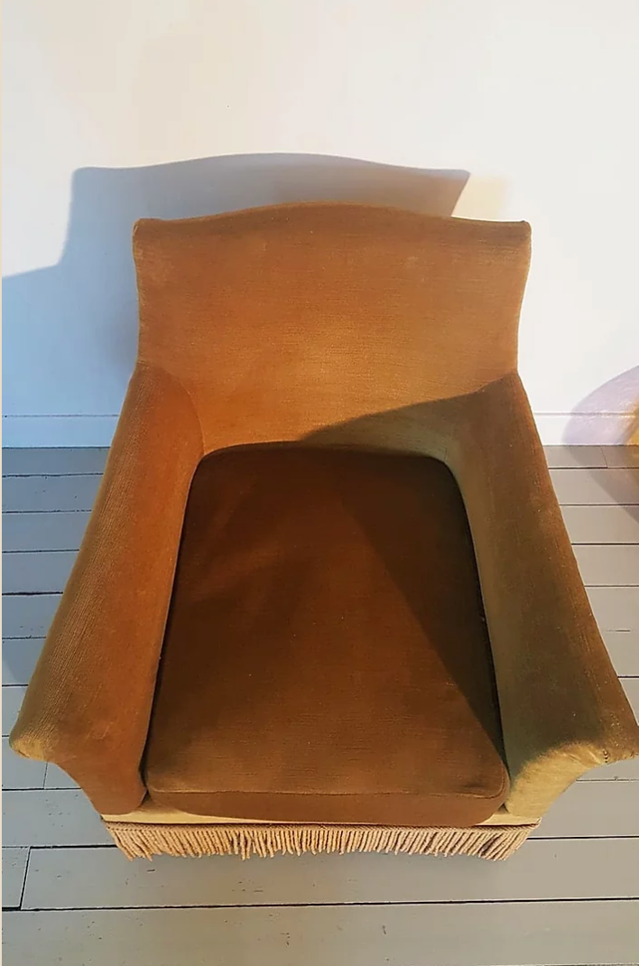 Velvet toad armchair