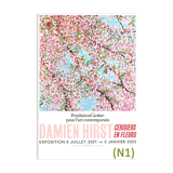 Damien Hirst poster