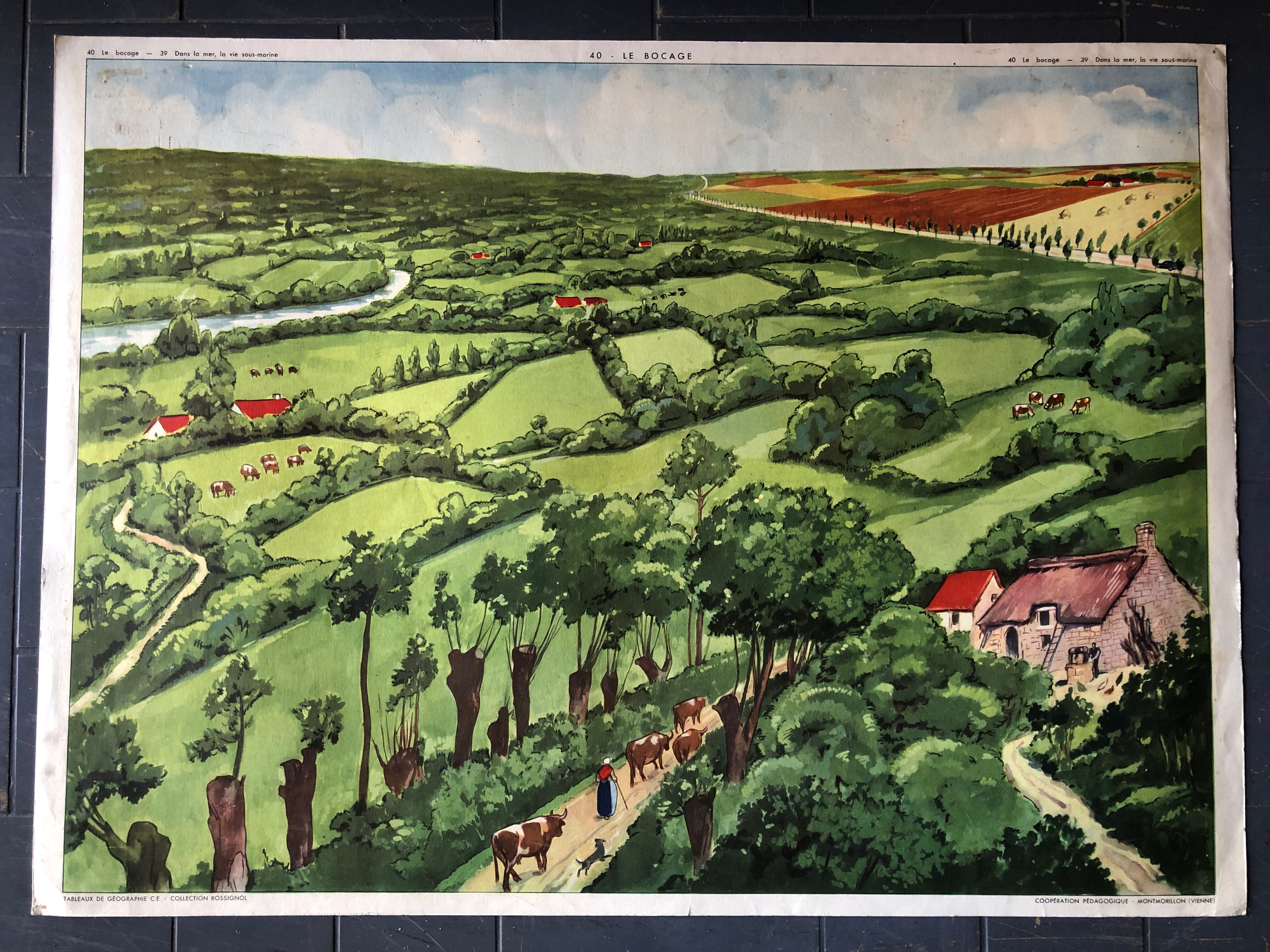 Ancient pedagogical poster