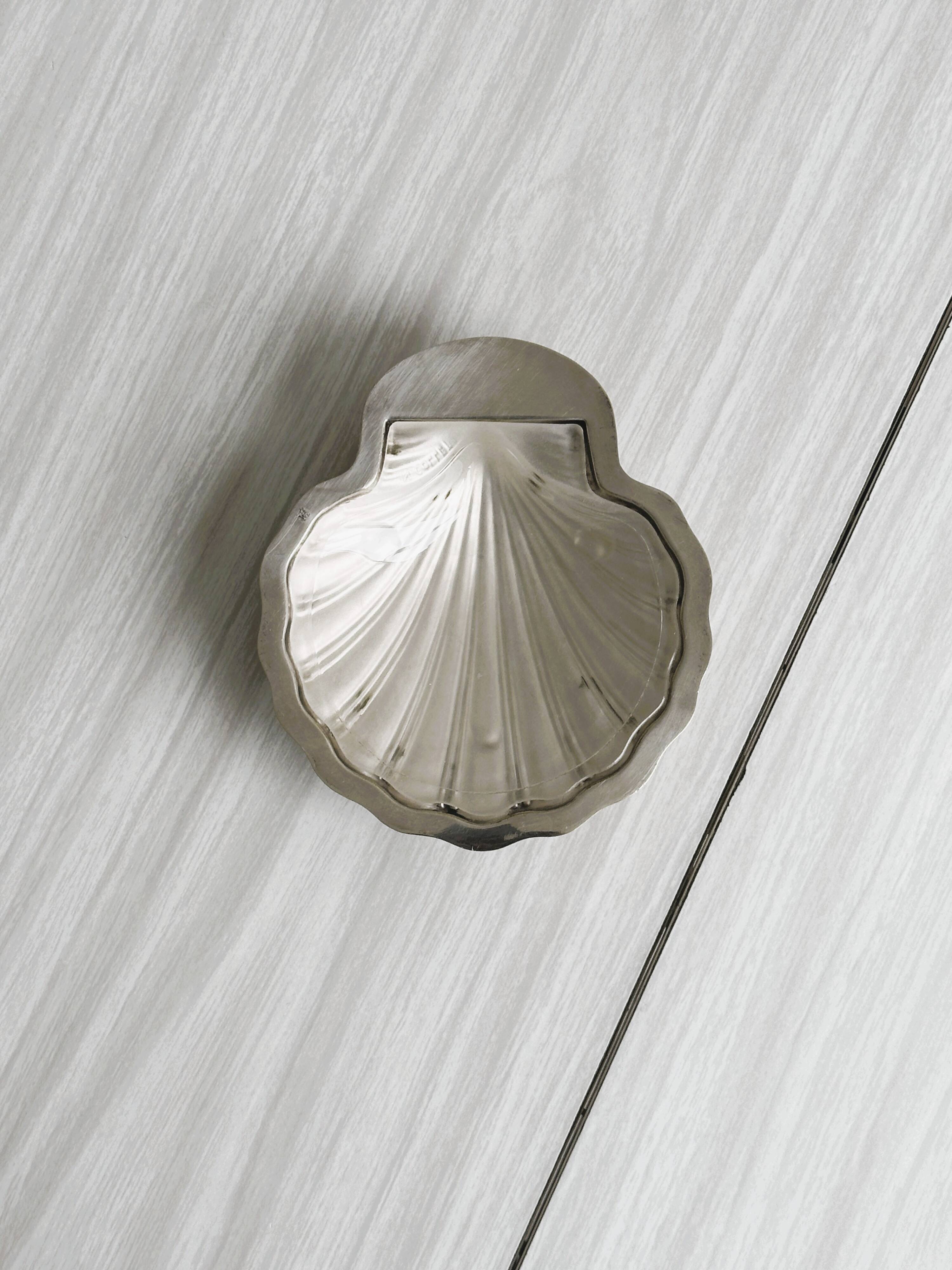 Shell-shaped jewelry holder or butter dish