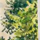 Aquarelle vintage