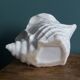 Ceramic conch shell, plant pot or trinket dish.