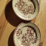 Datura plates iron earth