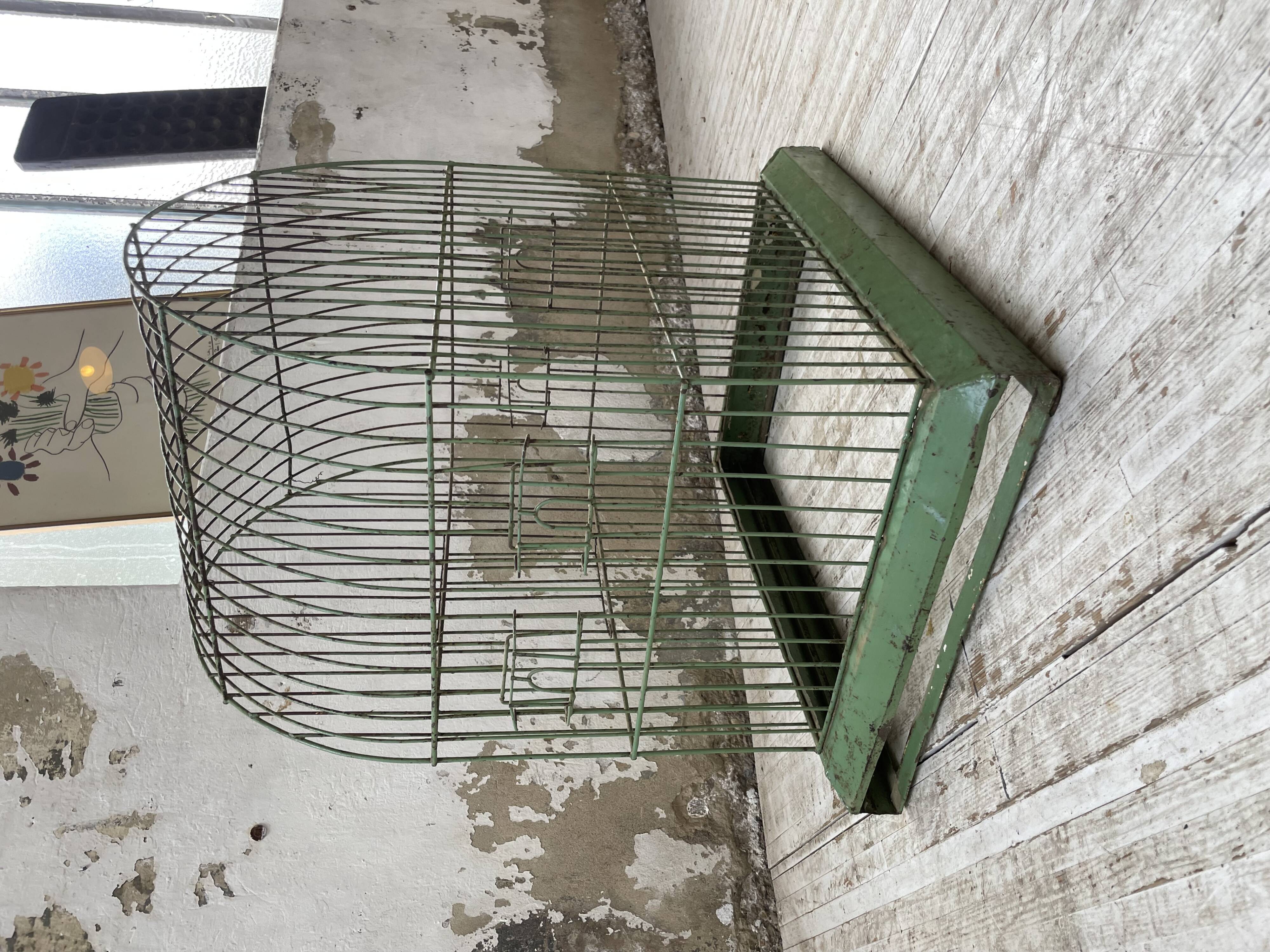 Decorative metal cage