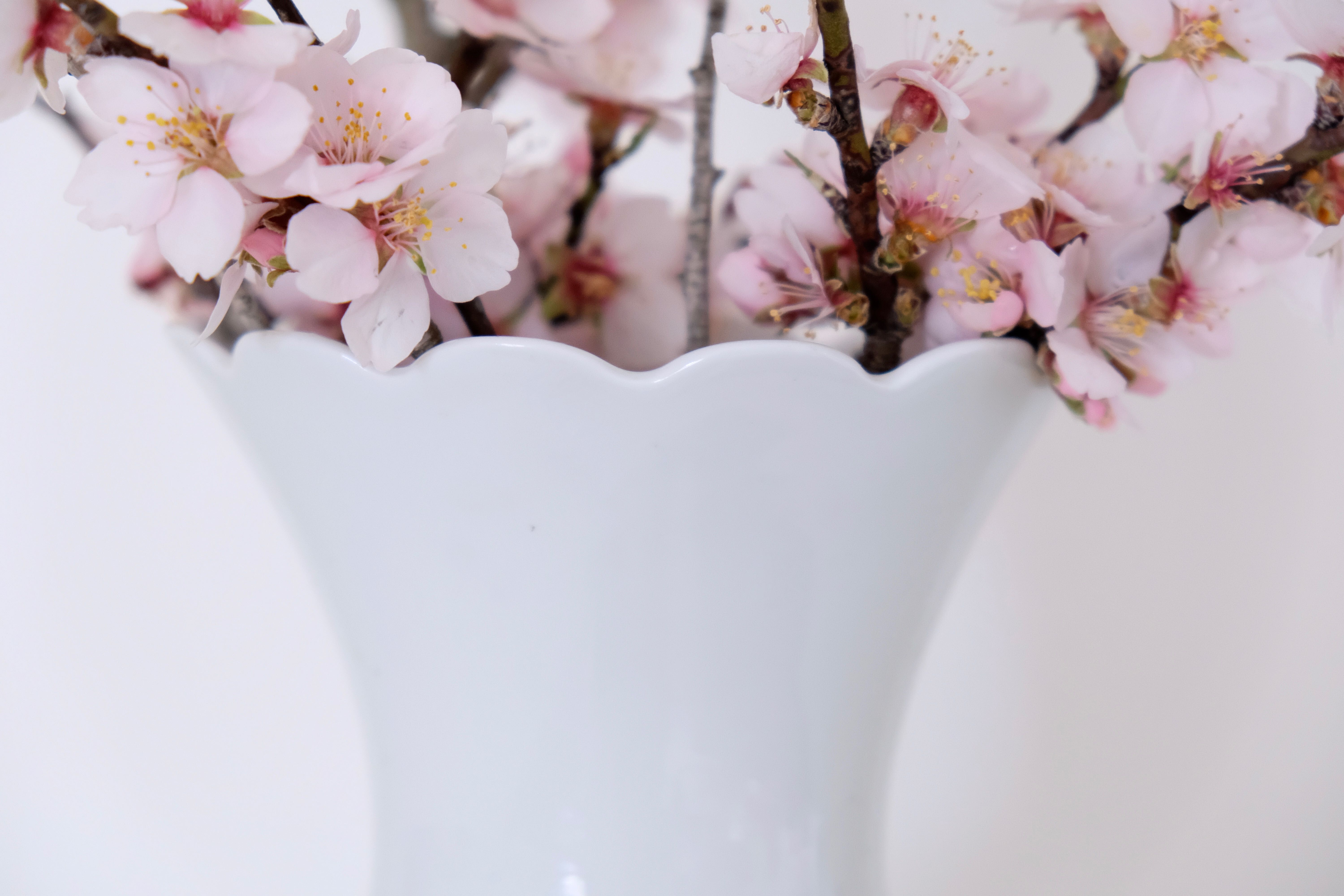 White vase Bareuther Waldsassen 50s