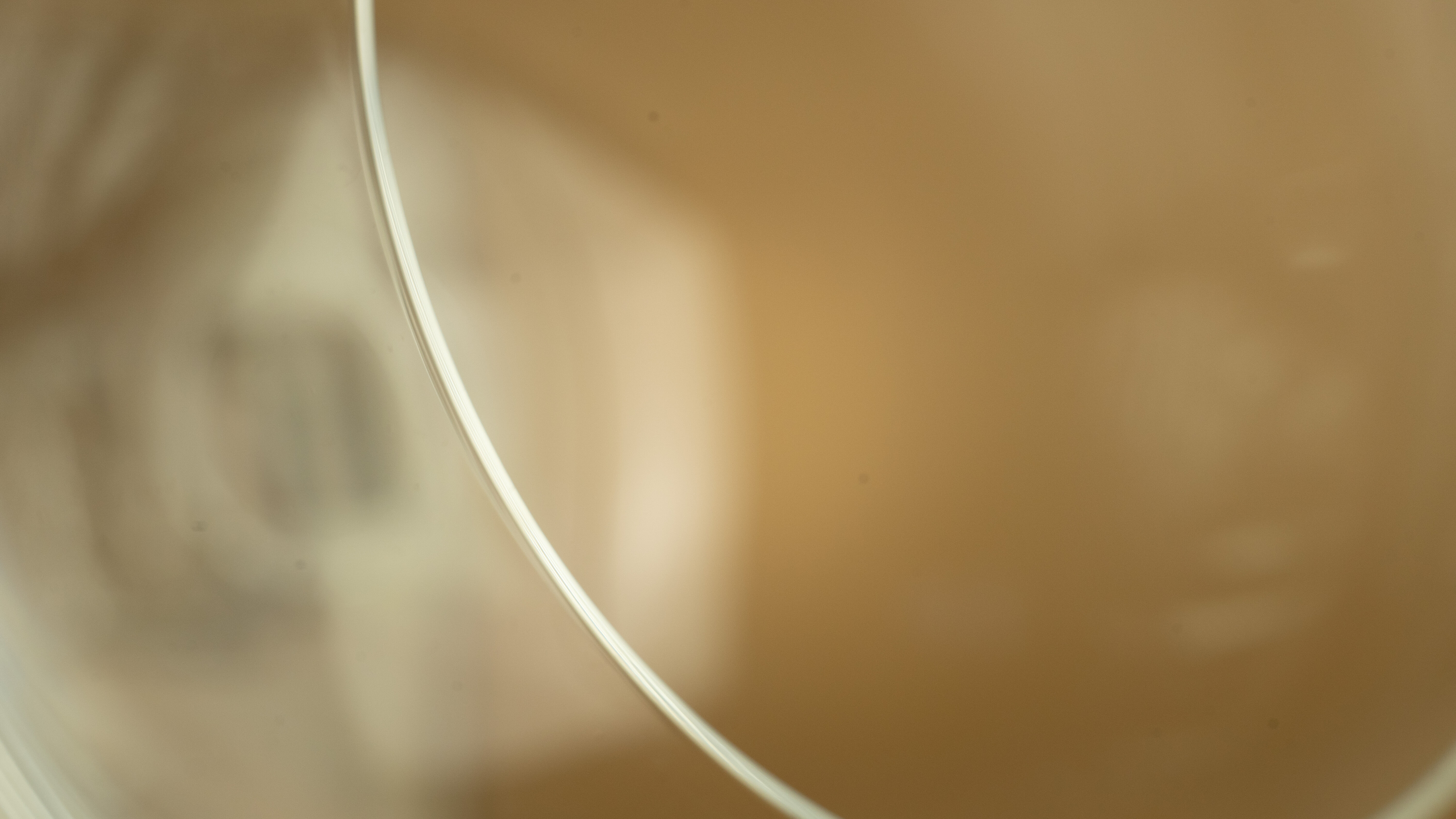 Lot 4 glasses with crystal foot Lalique Argos art deco 1930