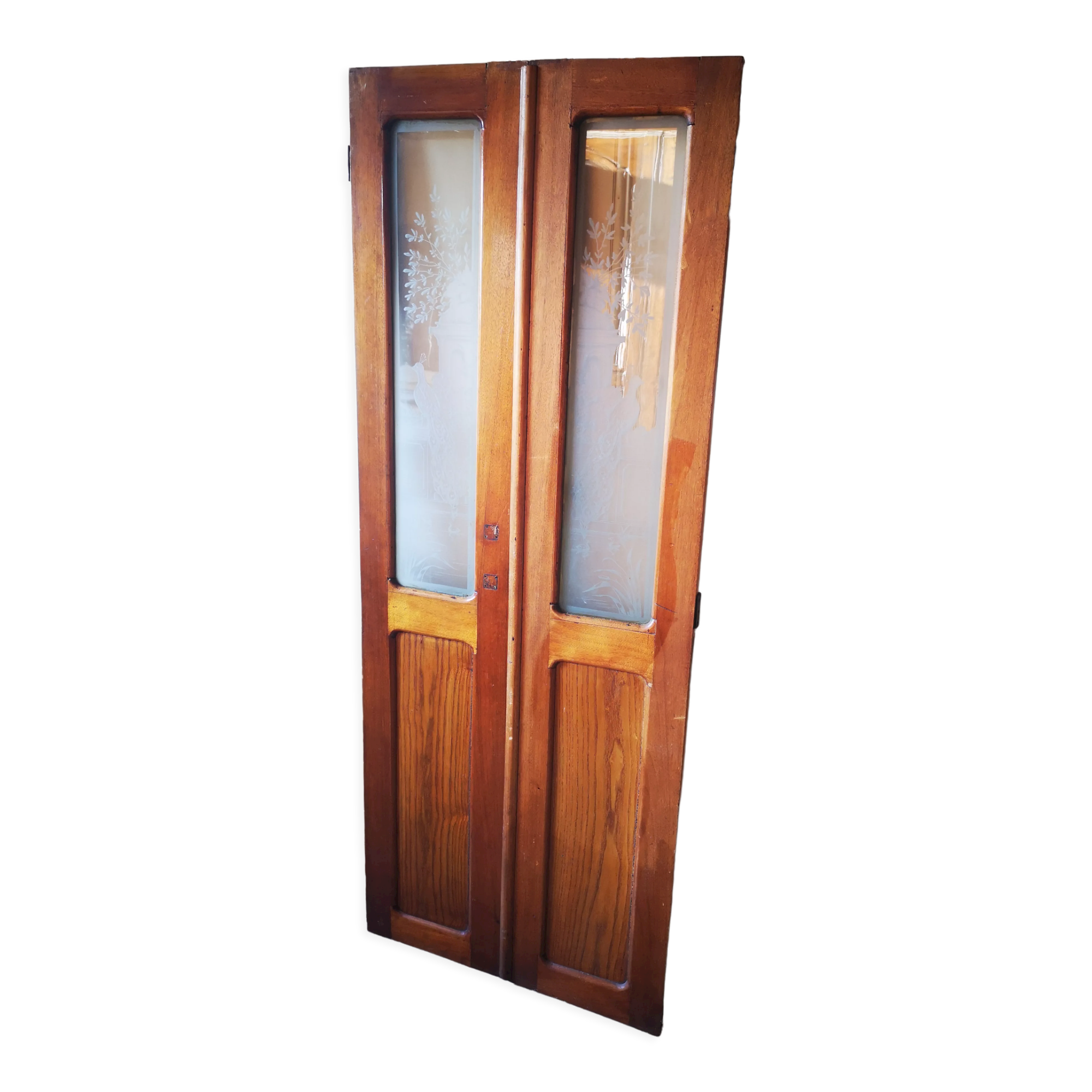 Pair of wheelhouse doors