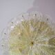 Splendid large size Italian Murano glass yellow and transparent ceiling light