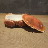 Earthenware crab terrine