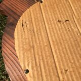 Brutalist mirror fish