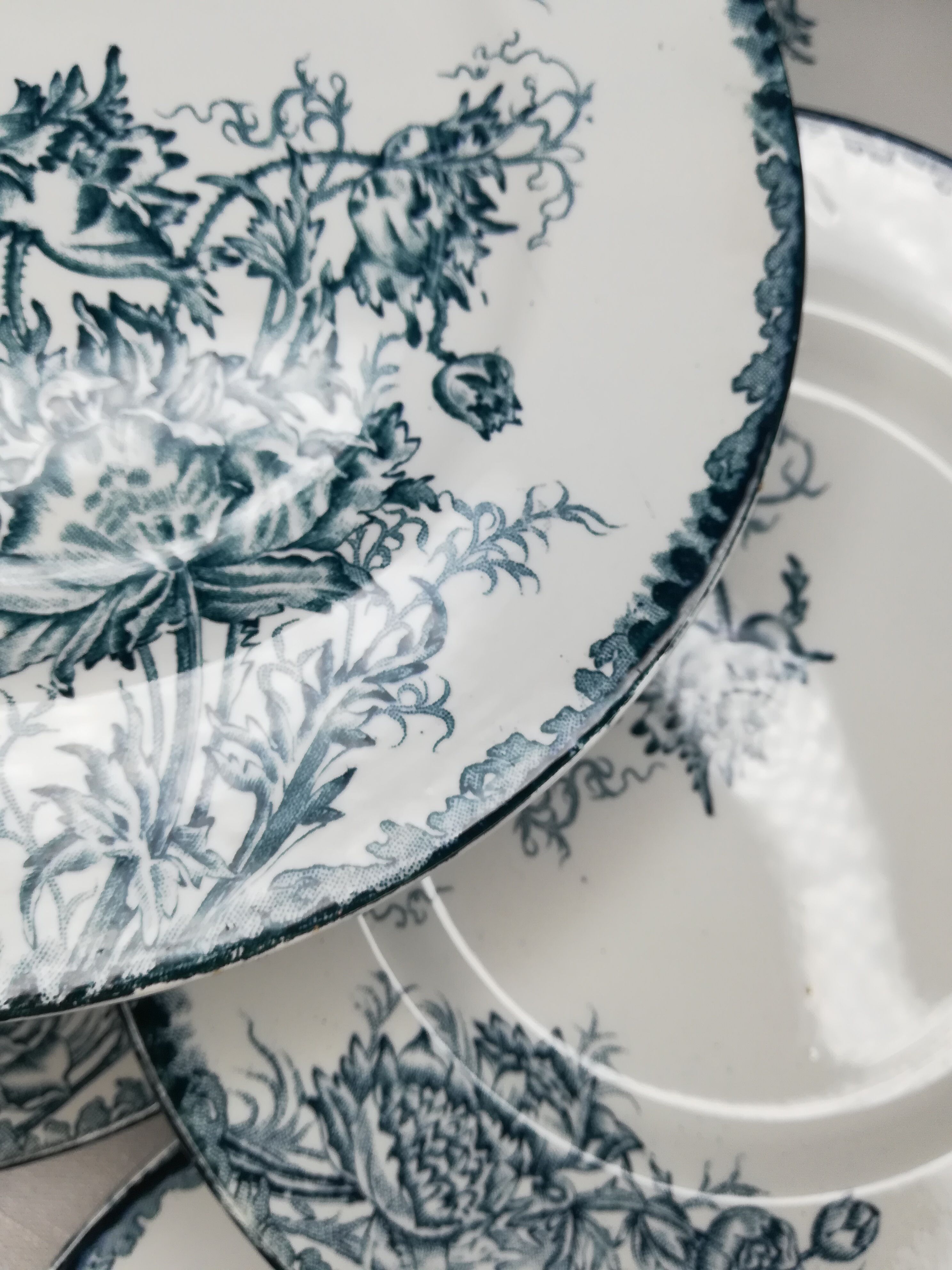 Series of 6 flat plates Saint Armand "poppy"