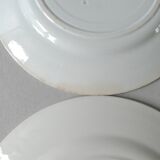 Set of 6 flat plates, Saint Amand model Suzanne, floral decoration