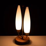 1950s Double shade Table lamp Philips