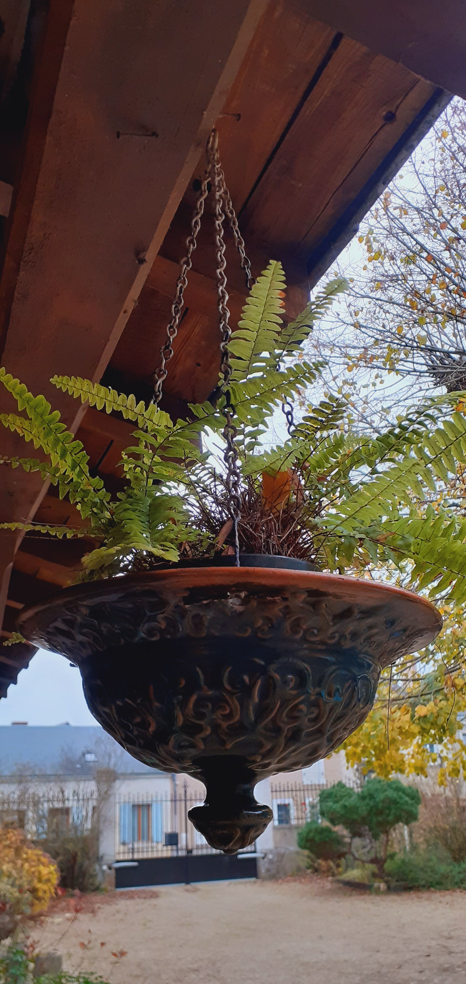 Hanging planter in glazed terracotta late nineteenth