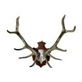 Massacre deer on wooden base