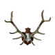 Massacre deer on wooden base