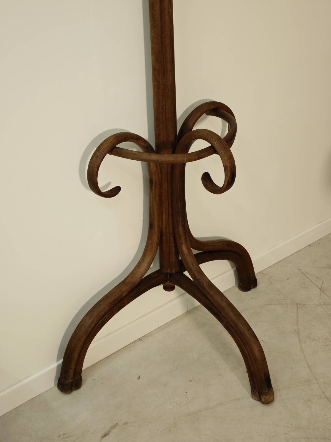 Thonet No. 1 Parrot Coat Rack on Wall, 1900s