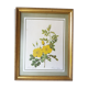 Table Board botanical "Rosa Eglanteria"