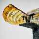 Vintage Brutalist wall light, Italy, 1970s