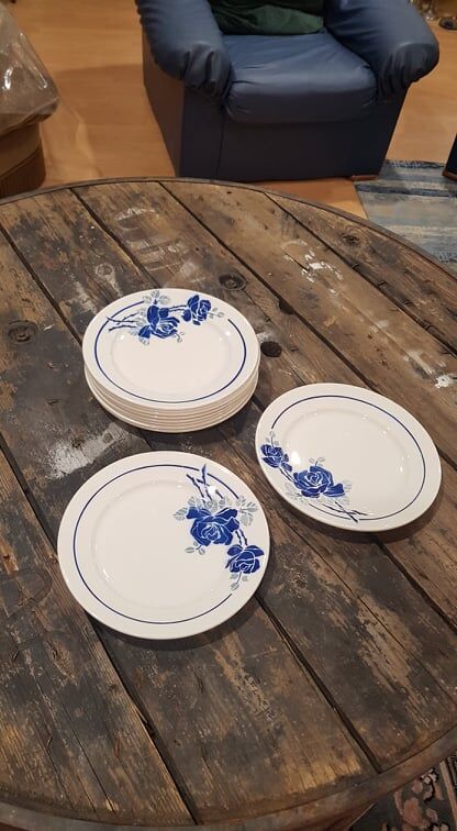 Lot 10 plates Badonviller models Roses