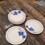 Lot 10 plates Badonviller models Roses