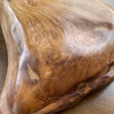 Plat en bois XL racine de thuya