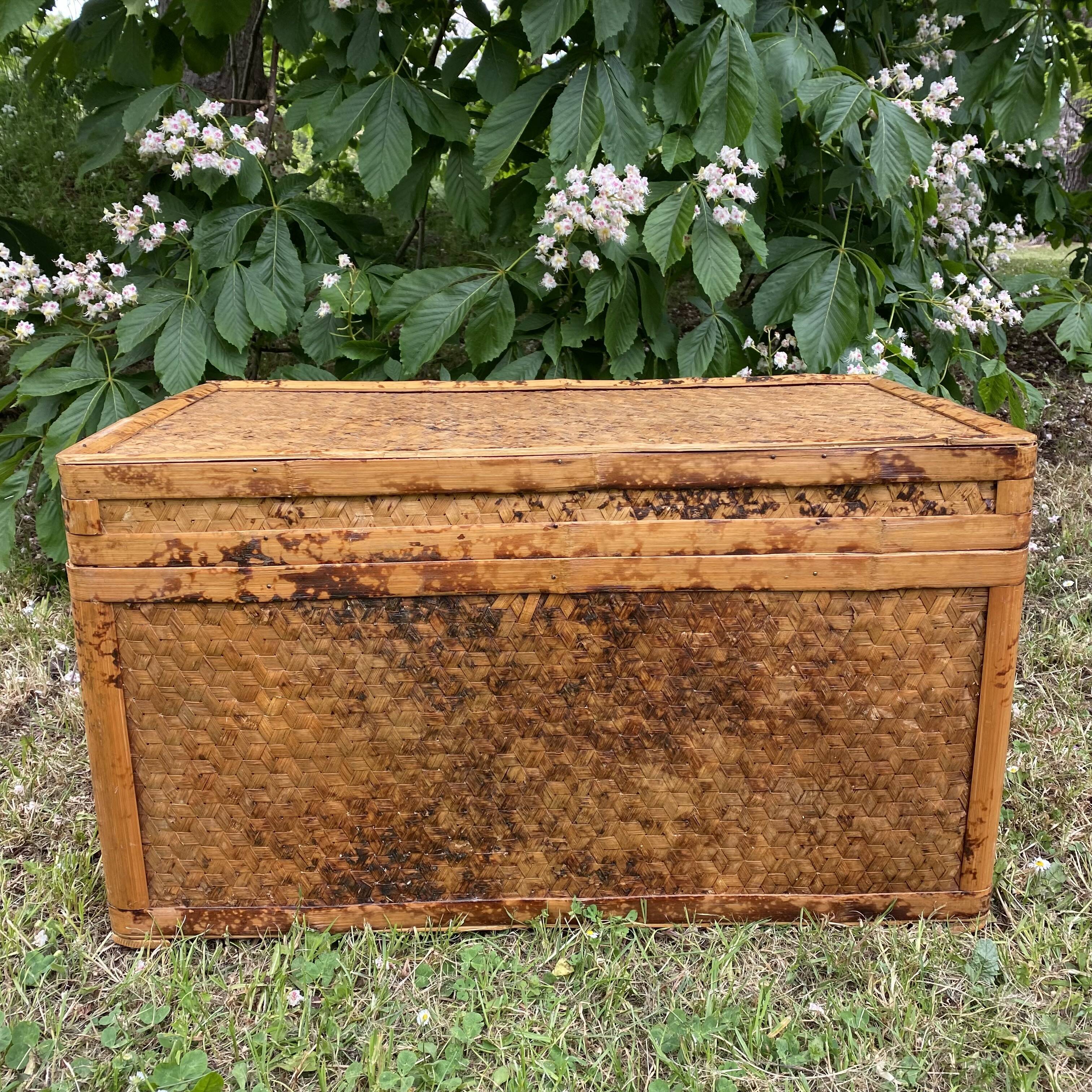 Vintage bamboo trunk