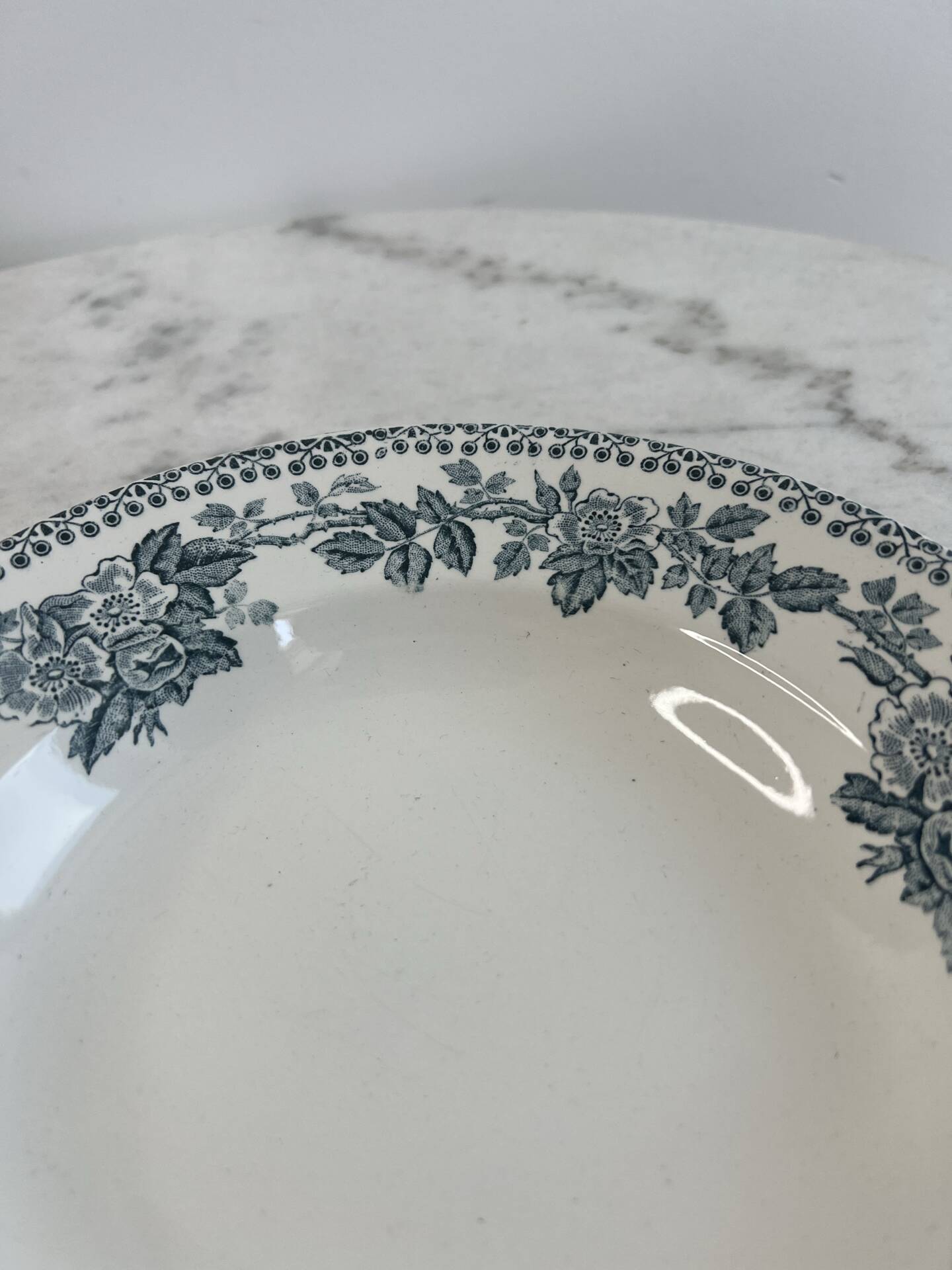 Shallow dish in ironstone Sarreguemines Digoin 22cm