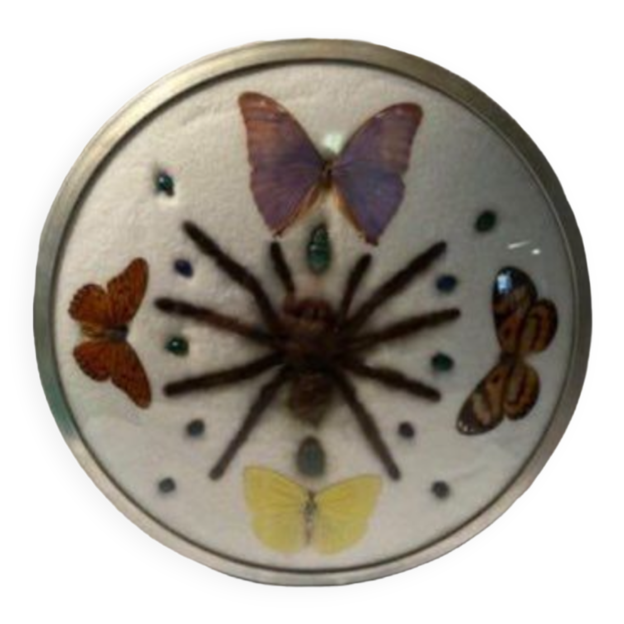 Cute frame and vintage butterflies