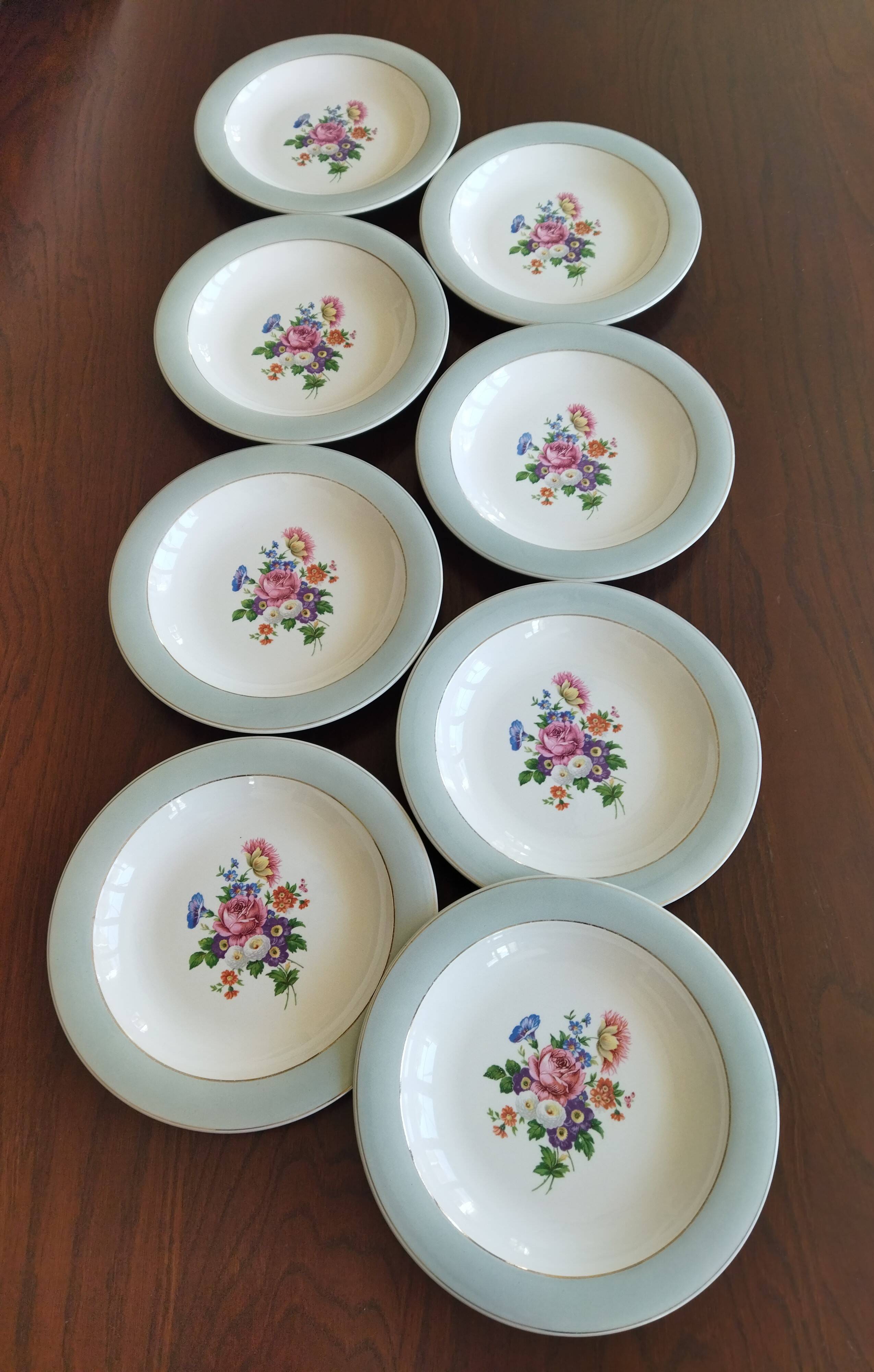 8 semi-deep plates Salins Opaceline 702