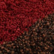 Tapis en laine Pure tissè main artisanal authentique