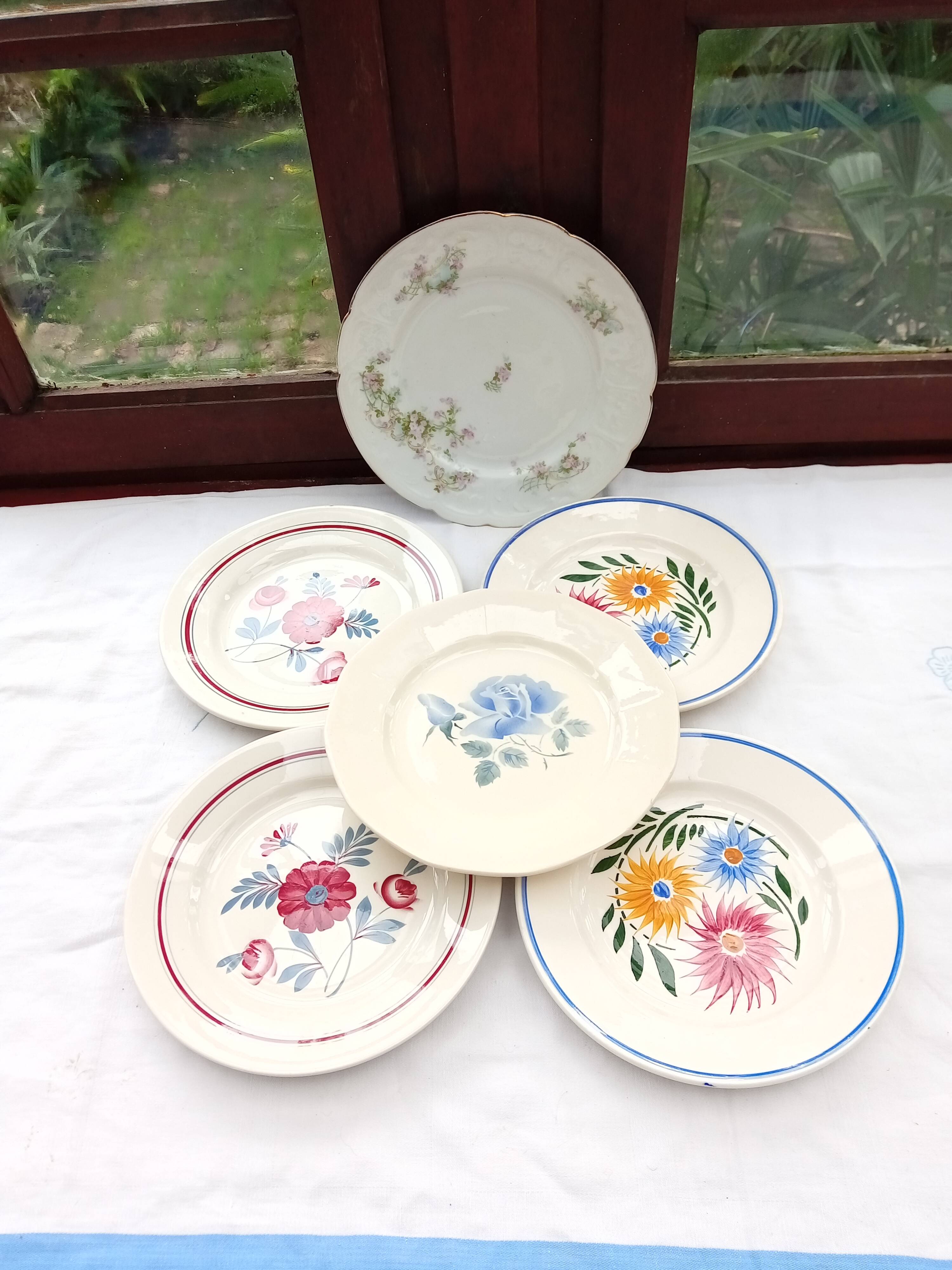 Assortment of 6 dinner plates