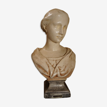 Waxed plaster woman bust